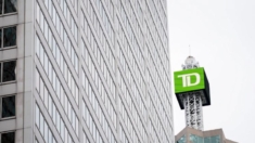 TD Bank admite lavado de dinero y es multado con USD 3000 millones en EE.UU.