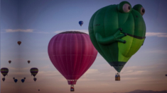 El 52º Festival de Globos Aerostáticos no logró ser un paseo tranquilo por 4 incidentes inesperados