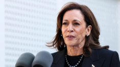 Kamala Harris habla de su plan para crear empleos para hombres latinos