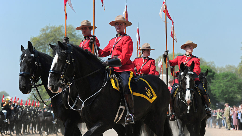 Miembros de la Real Policía Montada de Canadá (RPMC) entran en el Horse Guards Parade, en el centro de Londres, para participar en la ceremonia del "Cambio de Guardia". (CARL COURT/AFP/GettyImages)