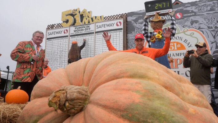 Travis Gienger (C) celebra después que su calabaza pesara 2471 libras para ganar en el Safeway World Championship Pumpkin Weigh-Off en Half Moon Bay, California, el 14 de octubre de 2024. (Jeff Chiu/Foto AP).