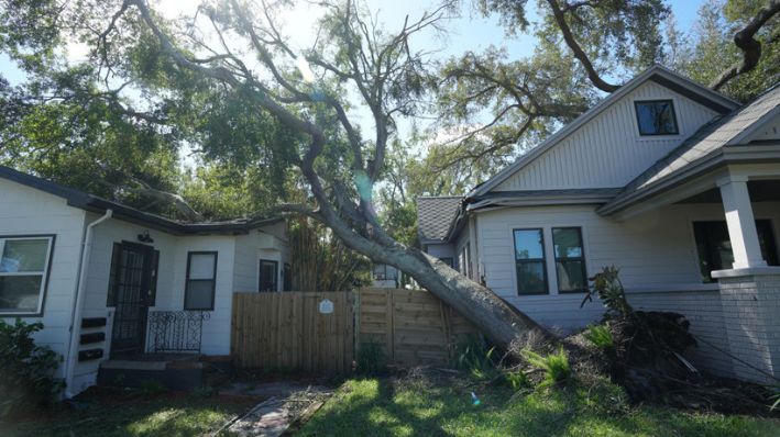 Una imagen de archivo de un árbol caído sobre una casa. (BRYAN R. SMITH/AFP vía Getty Images)