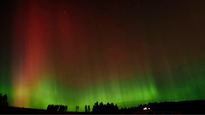 Una aurora boreal, también conocida luces del norte, se ve en el cielo nocturno junto con la constelación de la Osa Mayor en Moscow, Idaho, el 10 de octubre de 2024. (Ted S. Warren/AP Photo)