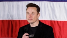 Elon Musk ofrece USD 1 millón diario a votantes que firmen su petición, generando respuesta de Shapiro