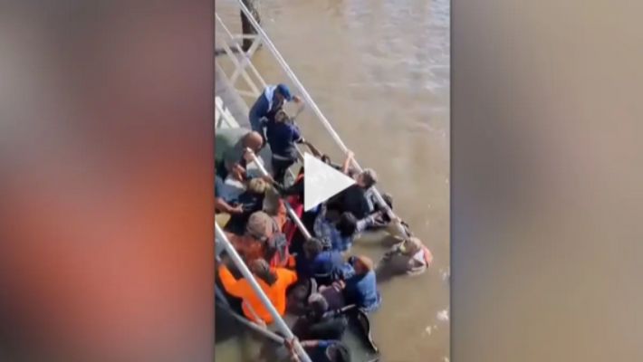 Turista capta en video esfuerzos frenéticos por salvar vidas tras colapso de un muelle en Georgia