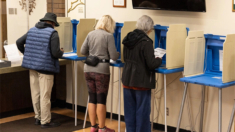 De los pueblos a las ciudades, personas acuden en masa a votar anticipadamente en Wisconsin