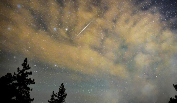 Un meteoro cruza el cielo por encima de los pinos del desierto en el Área Recreativa Nacional de Spring Mountains, Nevada. (Ethan Miller/Getty Images)