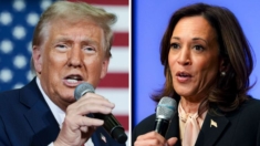 Trump y Harris inician su última semana de campaña: Estos son los votos en estados claves