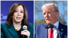 Harris recaudó y gastó mucho más que Trump en la primera quincena de octubre