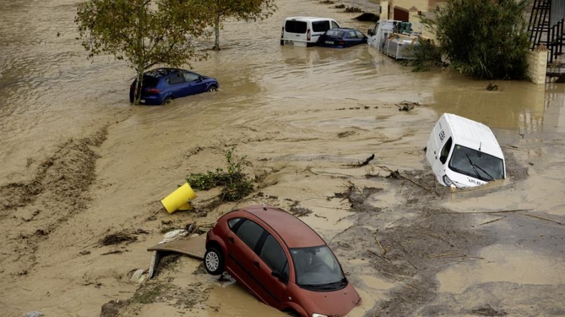 Estado en el que han quedado los coches en la localidad malagueña de Álora tras el desborde del río Guadalhorce debido a las lluvias torrenciales a consecuencia del paso de la dana que también ha ocasionado el descarrilamiento de un AVE en este municipio y que ha dejado en Andalucía innumerables incidencias. EFE/Jorge Zapata.