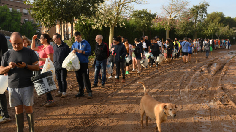 Un perro camina junto a una fila de personas que esperan para recoger agua de una tubería rota después de las inundaciones que afectaron a grandes partes del país el 31 de octubre de 2024 en el municipio de Paiporta de Valencia, España. (David Ramos/Getty Images)