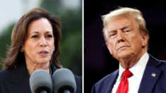 Encuesta nacional muestra que Trump mantiene ligera ventaja sobre Harris entre votantes registrados