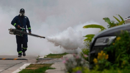 El dengue causa 46 muertes y 24,697 contagios en Panamá