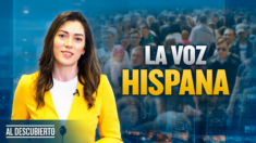 ¿Qué dicen los hispanos en Nueva York sobre las elecciones en Estados Unidos?