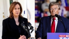 Trump y Harris hacen campaña en los estados indecisos cerca del 5 de noviembre