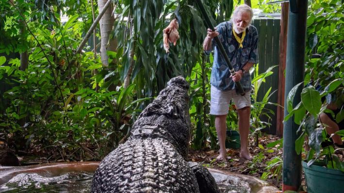 George Craig alimenta al cocodrilo cautivo más grande del mundo, Cassius, en Marineland Melanesia en Green Island, Gran Barrera de Coral, Cairns, Australia, el 18 de marzo de 2023. (Brian Cassey vía Reuters/AAP Image)