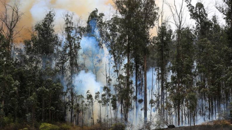 Fotografía de archivo de un incendio forestal en Quito (Ecuador). EFE/José Jácome