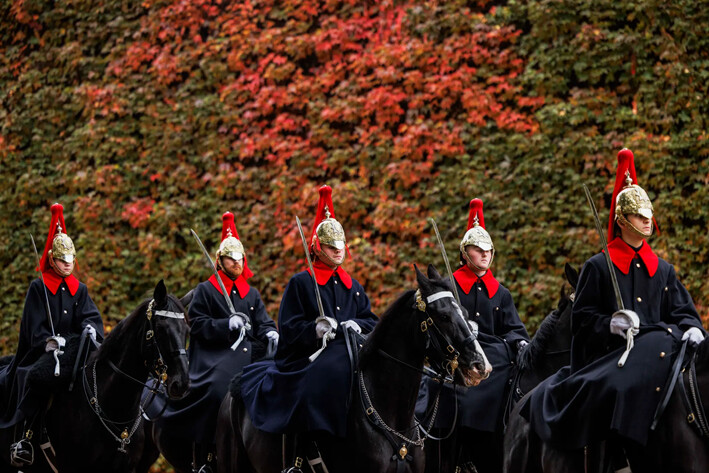 Los miembros de la Caballería Real de la Casa Real se abren paso entre los colores otoñales de una pared hacia el Desfile de la Guardia Montada durante sus deberes ceremoniales en Londres, Reino Unido, el 5 de noviembre de 2024. (Dan Kitwood/Getty Images)