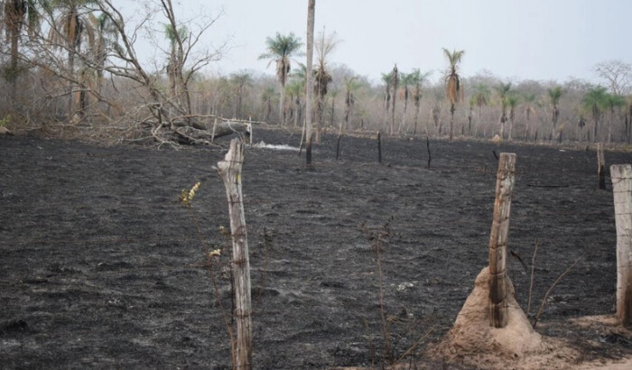 Devastación por incendios forestales en la región del Pantanal boliviano en 2024. (Cortesía de Huascar Bustillos)