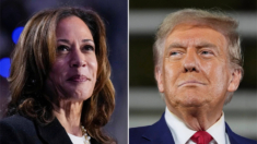 Harris reconoce la victoria de Trump, según su asistente