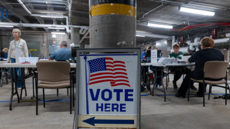 Votantes de varios estados podrían aprobar medidas que prohíban el voto a los no ciudadanos