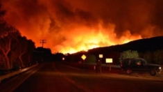 Se registra incendio forestal en el sur de California mientras aumentan los fuertes vientos