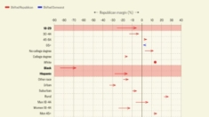 Comprendiendo el cambio demográfico que llevó a Trump a la victoria