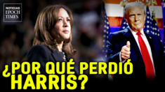 Analistas explican por qué perdió Kamala Harris | NET