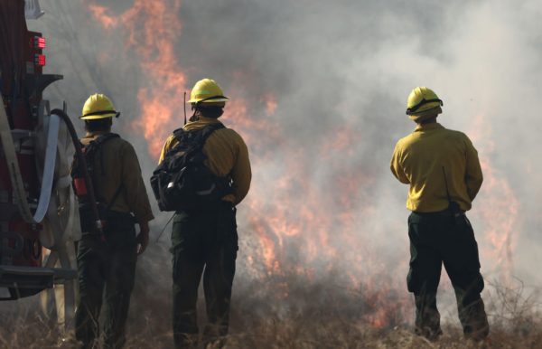 Los bomberos trabajan mientras arde el Mountain Fire el 7 de noviembre de 2024 cerca de Moorpark, California. (Mario Tama/Getty Images)