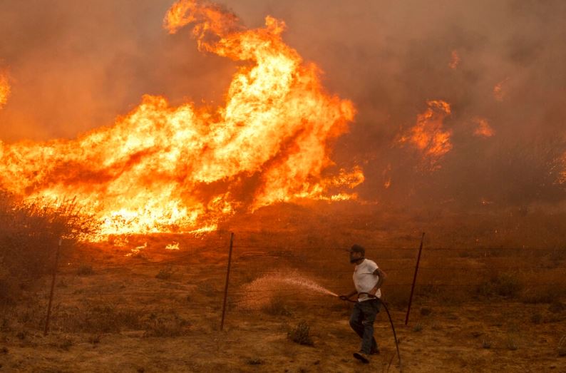 Los bomberos trabajan mientras arde el Mountain Fire el 7 de noviembre de 2024 cerca de Moorpark, California. (Mario Tama/Getty Images)