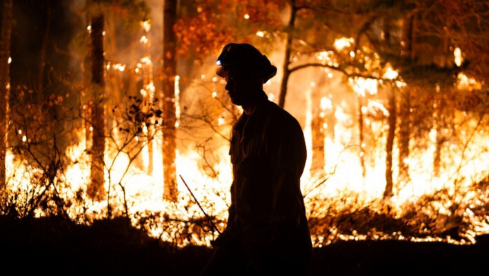 La silueta de un bombero se recorta contra un incendio forestal en Evesham, Nueva Jersey, el 6 de noviembre de 2024. (Departamento de Protección Medioambiental de Nueva Jersey vía AP).
