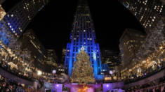 Árbol de Navidad de 74 pies en camino al Rockefeller Center de Nueva York