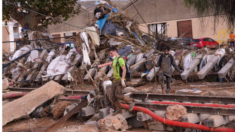 Catastróficas inundaciones en España dejan 219 muertos, 93 desaparecidos y daños multimillonarios