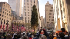 ¡Llegó la Navidad! El árbol de Navidad del Rockefeller Center llega a la ciudad de Nueva York