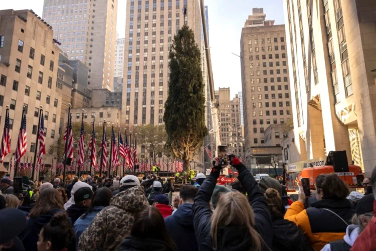 ¡Llegó la Navidad! El árbol de Navidad del Rockefeller Center llega a la ciudad de Nueva York