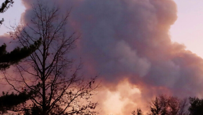 El humo de un incendio forestal se eleva por encima de los árboles en Evesham, Nueva Jersey, el 7 de noviembre de 2024. (Wayne Parry/Foto AP).