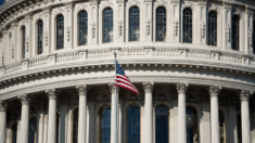 Tres nuevos representantes demócratas de NY lograron cambiar escaños de la Cámara de EE.UU.