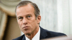 Republicanos eligen a John Thune como líder del partido en el Senado