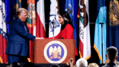 Trump elige a Tulsi Gabbard como Directora de Inteligencia Nacional