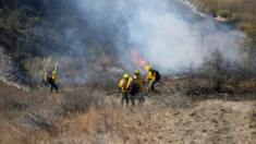 Quemado en antorcha de gas natural provocó 2 incendios forestales en Dakota del Norte: agencia estatal