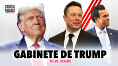 Elon Musk y Vivek Ramaswamy liderarán el nuevo Departamento de Eficiencia de Trump | Crossroads