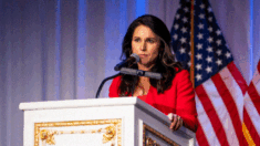 Cinco cosas que saber sobre Tulsi Gabbard, elegida por Trump para dirigir la comunidad de inteligencia