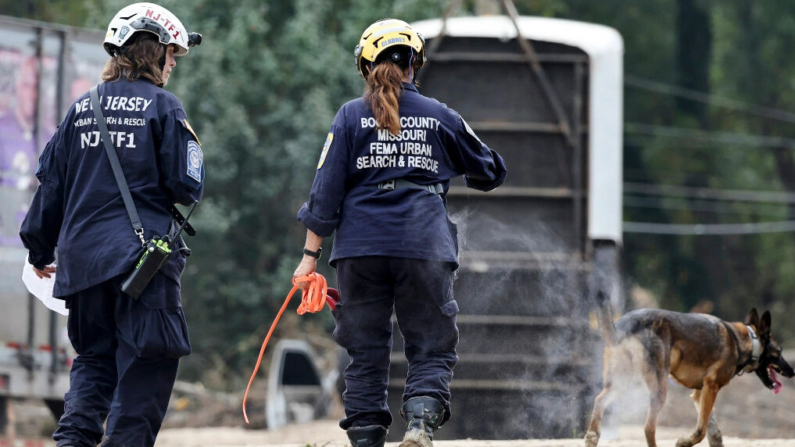 Miembros del Grupo de Trabajo de Búsqueda y Rescate Urbano de la FEMA buscan en una zona dañada por las inundaciones con un perro de búsqueda tras el paso del huracán Helene por el río Swannanoa en Asheville, Carolina del Norte, el 4 de octubre de 2024. (Mario Tama/Getty Images)
