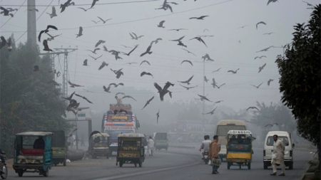 Provincia pakistaní declara emergencia sanitaria por el smog y 2 ciudades están en confinamiento