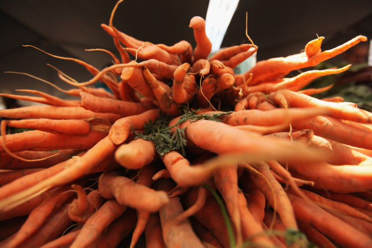 Una muerte y decenas de personas enfermas tras comer zanahorias contaminadas con E. Coli