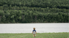 Pasar tiempo en la naturaleza reduce el estrés emocional de los niños según estudio reciente