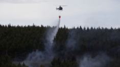 Declaran emergencia nacional en Ecuador por incendios, déficit hídrico y sequía