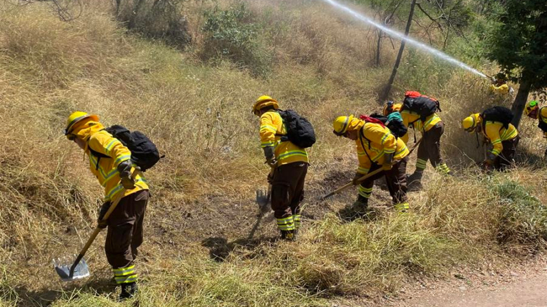 Brigadistas de la Corporación Nacional Forestal (Conaf), participan en un simulacro de incendio forestal durante la presentación del plan nacional de cortafuegos 2024-2025, el 19 de noviembre de 2024, en Santiago (Chile). EFE/Andrea Sanz Yuz