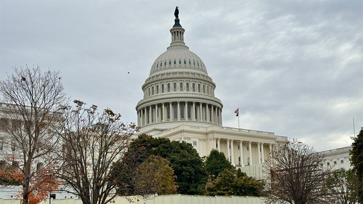 El Capitolio de Estados Unidos en Washington DC, el 10 de noviembre de 2024. (DANIEL SLIM/AFP vía Getty Images)