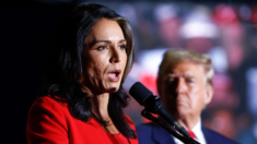 Senadores dicen que los candidatos de Trump, Gabbard y Hegseth, serán interrogados en el Congreso